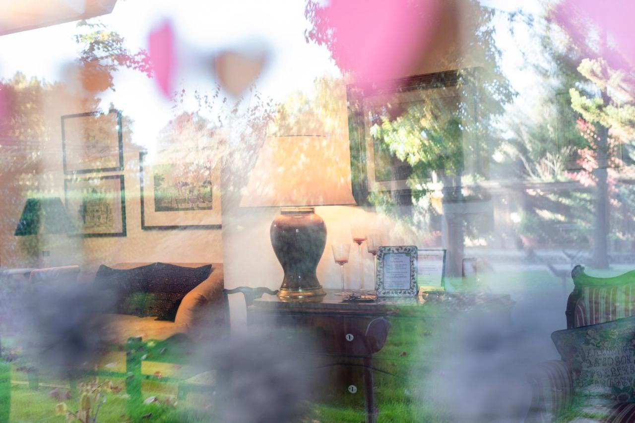 Le Fontanelle Apartment บันโญเรจิโอ ภายนอก รูปภาพ